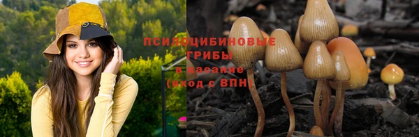 амфетамин Белокуриха