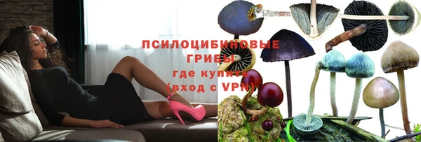 стаф Баксан