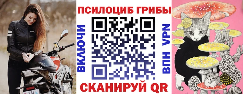 Псилоцибиновые грибы Magic Shrooms  где купить наркоту  Благодарный 
